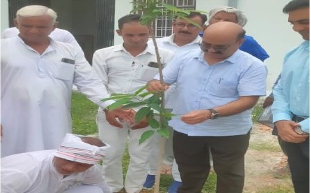 जिला कलेक्टर ने किया सीएचसी एंव पशु चिकित्सालय ईशरोदा का निरीक्षण