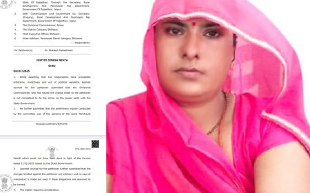 हाईकोर्ट ने ग्राम पंचायत पंडेर प्रशासक को हटाने के आदेश पर लगाई रोक