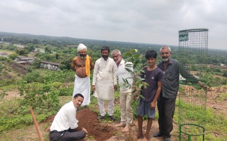 वरिष्ठ अध्यापक जबर सिंह शेखावत ने 48 वे जन्मदिन पर पौधा लगाकर लिया देखभाल करने का प्रण