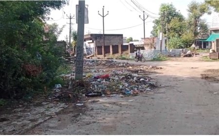 पटायरी की डूंगरी पर स्थित ज्योतिबा फूले पार्क के समीप कचरे गंदगी का आलम राहगीर हो रहे परेशान