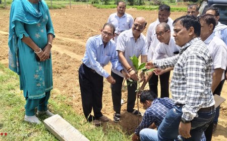 जिला कलेक्टर ने लिया कृषि योजनाओं का जायज़ा: किसानों से फार्म पोंड योजना का लाभ लेने की अपील