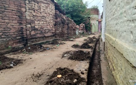 सुनकई में युवाओं की डिजिटल पहल लाई रंग, सफाई अभियान शुरू