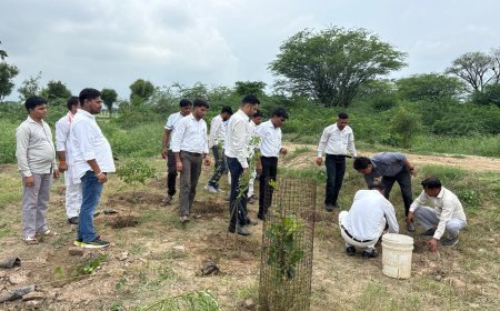 अभिभाषक संघ ने हनुमान मंदिर परिसर में किया पौधारोपण