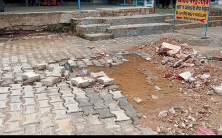 मुख्य पाइपलाइन से 5 दिन से बह रहा हजारों लीटर पानी, जलदाय विभाग बना 'धृतराष्ट्र