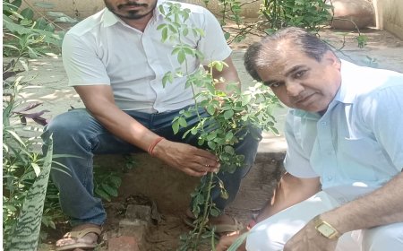 उदयपुरवाटी में पौधारोपण अभियान, एक पेड़ मां के नाम