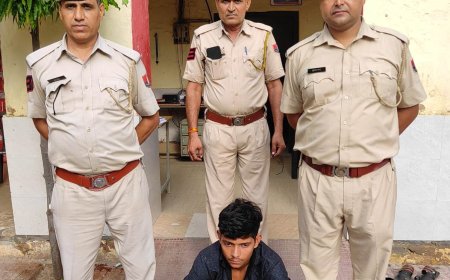 गौकशी के लिए ले जाये जा रहे 2 गौवंश कराए  मुक्त:पिकअप  जप्त