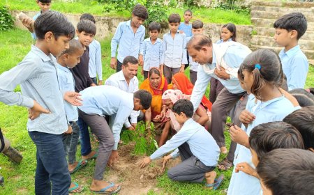 बाल मित्र ग्रामों में पौधरोपण कर लिया पर्यावरण संरक्षण का संकल्प