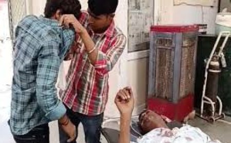 कुत्ते को बचाने के चक्कर में पलटी पिकअप, 40 घायल: 15 से ज्यादा अस्पताल में भर्ती