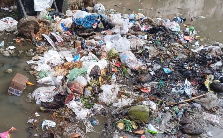 गोविंदगढ़ सरकारी अस्पताल के पास कचरे का ढेर: बारिश में बदबू से लोग परेशान, स्थानीय निवासियों ने की सफाई की मांग