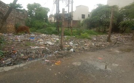 रेलमगरा में नालियों व नालों की नियमित सफाई हेतु आम आदमी पार्टी की मांग