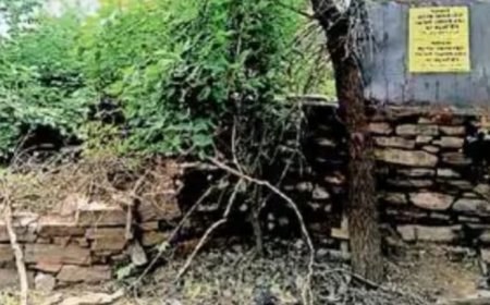 मुंडावर में गांव गढ़ी के सूखे कुएं को पालिका ने किया संरक्षित