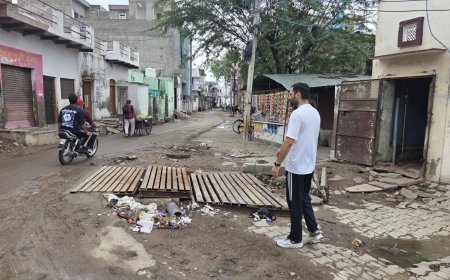 जिला कलक्टर प्रातः आकस्मिक शहर भ्रमण पर निकले: सफाई व्यवस्था का एवं नालियों में पानी निकासी का लिया जायजा