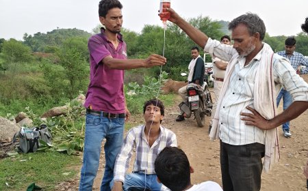 अलवर जिले के कठूमर क्षेत्र में गो तस्करी चरम पर