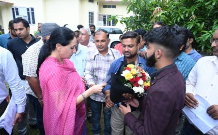 रायसिंहनगर में हरे पेड़ों की अवैध कटाई पर बवाल, उपमुख्यमंत्री को सौंपा गया ज्ञापन