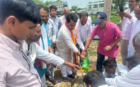 हरियालो राजस्थान एक पेड़ मां के नाम सघन अभियान के तहत ग्रामपंचायत हडिया मे विधायक के नेतृत्व में लगाएं हजारों पौधे