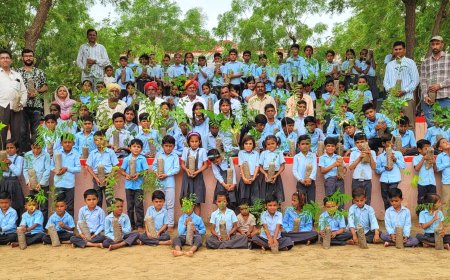 राजकीय उच्च प्राथमिक विद्यालय सोढ़ो की बस्ती खड़ीन में पौधारोपण कार्यक्रम आयोजित