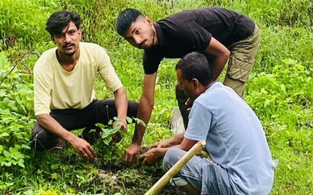 हिन्दू सेना ने सावन माह में किया पौधरोपण, पर्यावरण संरक्षण का लिया संकल्प