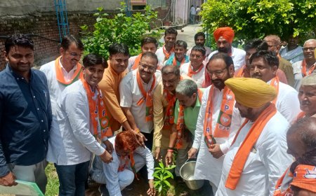 अलवर सांसद एवं केंद्रीय मंत्री भूपेंद्र यादव के निर्देशानुसार भाजपा की बैठक का भीम चेतवाल की अध्यक्षता मे किया गया आयोजन