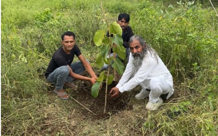सावन में वृक्षारोपण को बताया मातृभूमि का श्रृंगार  :  सोलंकी