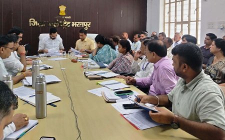 हरियालों राजस्थान के तहत सभी विभाग इसी माह पौधारोपण करें- जिला कलक्टर