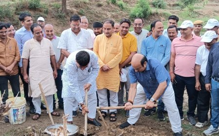 हरित राजस्थान की ओर बढ़ता कदम: भजनलाल सरकार की पर्यावरणीय क्रांति