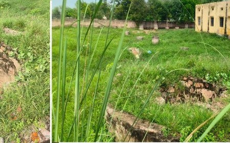 स्कूल में खुला कुआं बना खतरा: गोविंदगढ़ के प्राथमिक विद्यालय में 90 बच्चों की सुरक्षा दांव पर लगी