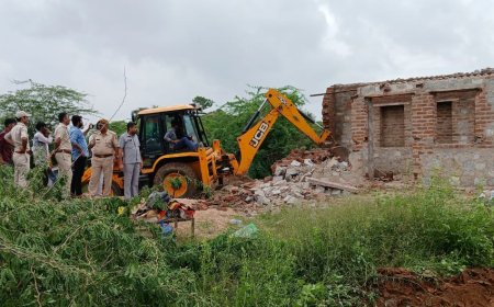 वेलांगरी में अतिक्रमणों के ऊपर चला पिला पंजा