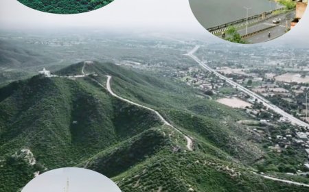 हरियाली अमावस्या आज : प्रकृति का अद्भुत उत्सव, स्वागत में मुस्कुराती धरा, लहरों का सरोवर, याद दिलाता इतिहास पर्यटक स्थल की ओर बढ़ता गुरलां