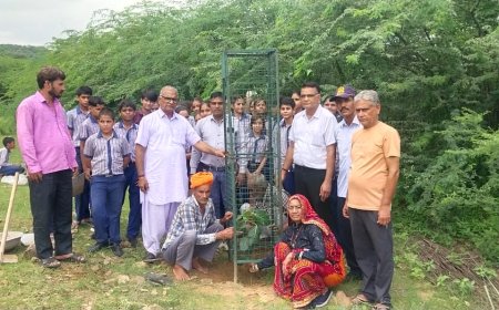 बूढ बालाजी धाम आश्रम पर हरियाली अमावस्या पर हुआ वृक्षारोपण