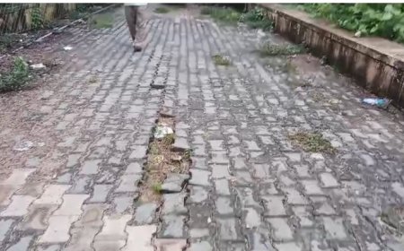 बांध की पाल धंसी सीढियां हुई क्षतिग्रस्त हादसे को दे रही निमंत्रण