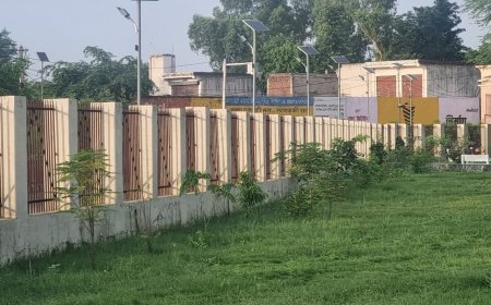 मुख्यमंत्री वृक्षारोपण महाअभियान : "हरयाळो राजस्थान" के तहत खैरथल-तिजारा में वृक्षारोपण की धूम