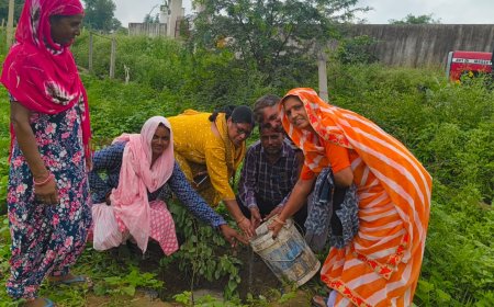 रामगढ़ क्षेत्र में महिलाओं ने पौधारोपण कर दिया पर्यावरण संरक्षण का संदेश