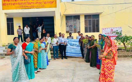 हरियालो राजस्थान अभियान में जुटा जिला प्रशासन:  ग्राम पंचायत से लेकर जिला स्तरीय आयोजन के लिए विभागों ने तैयार किये पौधों के लिए गड्डे