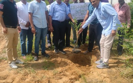 मानकी क्रेशर व माईनिंग एसोसिएशन द्वारा 10000 पौधों का भव्य वृक्षारोपण:  खनन विभाग के अधिकारियों की उपस्थिति में हुआ संपन्न