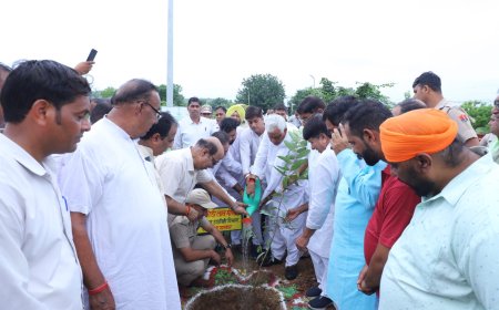 जल है तो कल है, वृक्ष है तो जीवन है- जिला प्रभारी मंत्री
