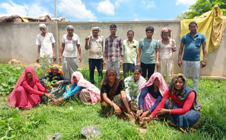 एफईडी दूसरा दशक के सौजन्य से हरियाली तीज के पावन पर्व पर लगाए पौधे