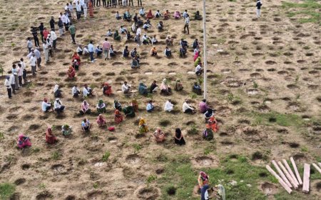 हरियालो राजस्थान अभियान के तहत ब्लॉक स्तरीय कार्यक्रम का आयोजन