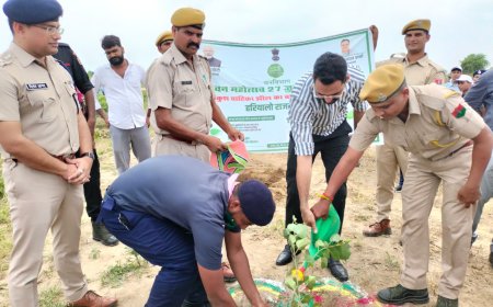 हरियालो राजस्थान अभियान में जिलेभर में लगाये एक दिवस में 6 लाख पौधे हरियाली तीज पर गांव से लेकर जिला मुख्यालय रोपे पौधे