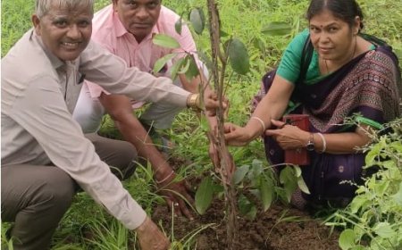 हरियालो राजस्थान अभियान के अंतर्गत पूर्व जिला शिक्षा अधिकारी के फार्म हाउस में  लगाए पेड़