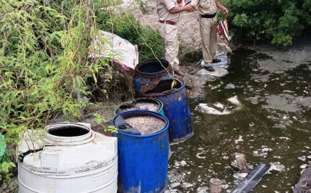 आबकारी निरोधक टीम ने सीकरी व डीग में कार्यवाही कर 8 हजार लीटर वॉश व 7 भट्टी नष्ट की, हथकड़ शराब बरामद