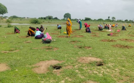 हरियाली की ओर जहाजपुर : सघन वृक्षारोपण से बदलेगा शहर का मिज़ाज