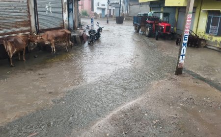 बारिश से मौसम हुआ सुहाना, किसान भी खुश