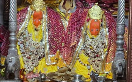 शांकभरी माता के सिंधारा एवं झूलन महोत्सव 3 को