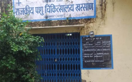 सरकार 20 विशेष पशुचिकित्सलय घोषित कर रही, इधर एक सप्ताह से खरसाण हॉस्पिटल पड़ा बंद ,पशुपालक भटक रहे विभाग की लापरवाही