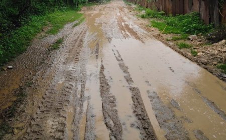 एकलिंगपुरा से माकड़िया लिंक रोड की हालत बदहालः कीचड़,जलभराव और गड्डों से भरी सड़क, ग्रामीणों का आवागमन हुआ मुश्किल