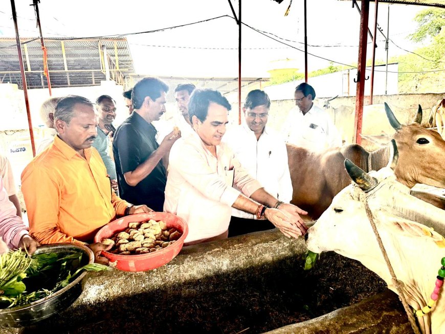 भाजपा कार्यकर्ताओं ने विधायक राजेंद्र मीणा के नेतृत्व में भाजपा प्रदेश अध्यक्ष मदन राठौड़ का गौशाला में गायों को गुड़, हरा चारा,खिलाकर जन्मदिन मनाया