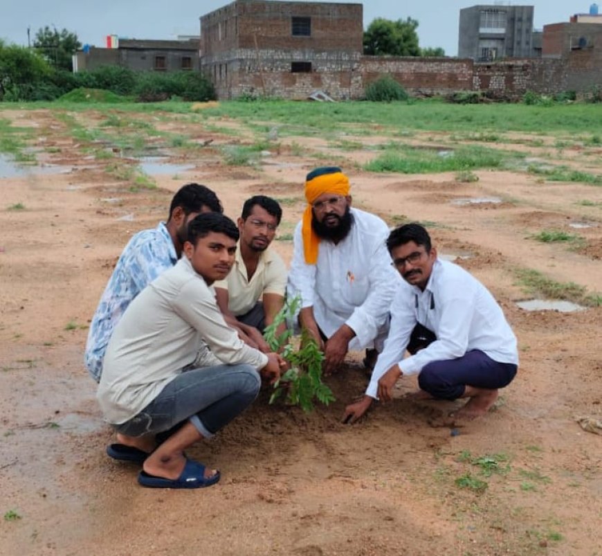 जालोर मिया मोटनशाह दरगाह मैदान में लगाए 50 पौधे 