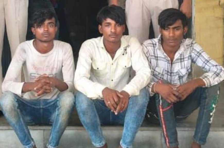 राष्ट्रीय राजमार्ग पर खडे वाहनों से पेट्रोल एवं डीजल चोरी,घरों से बैट्री एवं इन्वर्टर चोरी करने वाले 6 आरोपी गिरफ्तार