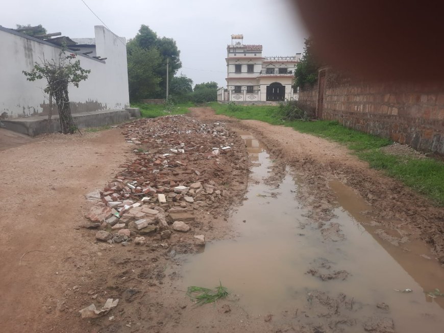 वराडा ग्राम पंचायत में गंदगी का अंबार, स्वच्छ भारत अभियान हुआ फेल