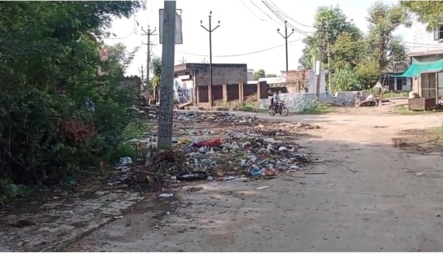 पटायरी की डूंगरी पर स्थित ज्योतिबा फूले पार्क के समीप कचरे गंदगी का आलम राहगीर हो रहे परेशान